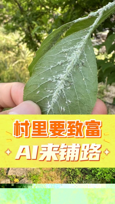 没有套路的农村AI工具，就是识农小程序