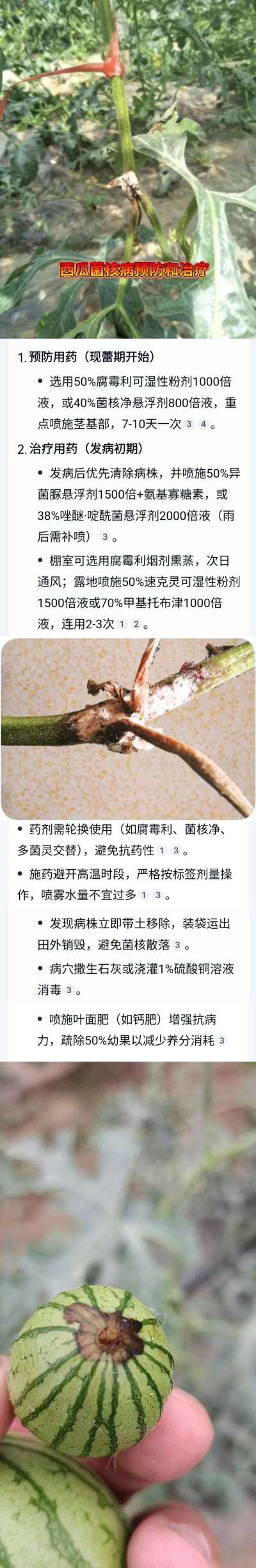 怎样预防和治疗方案