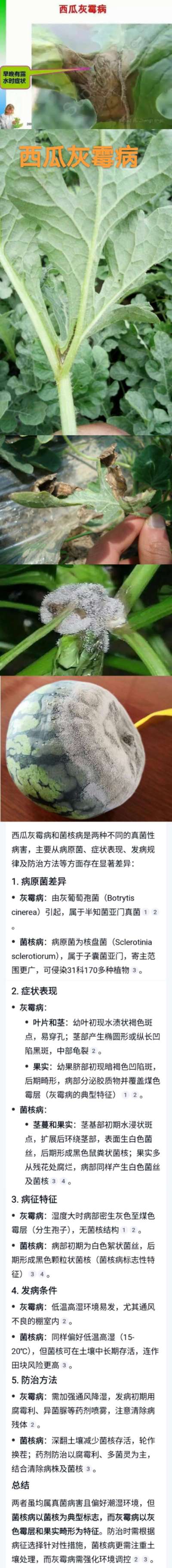 http://st-static1.ag96.cn/forums/2025/04/23/17453975972028.jpeg