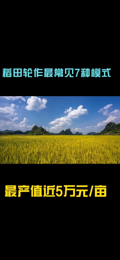 &ldquo;一田多收，藏着农业增收的密码！今天带您1分钟看懂水稻轮作的致富密码