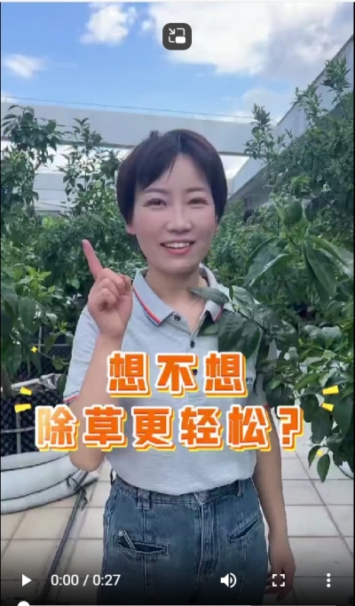 打了除草剂，死草慢，草死了两天又活了，怎么办？我教你一招