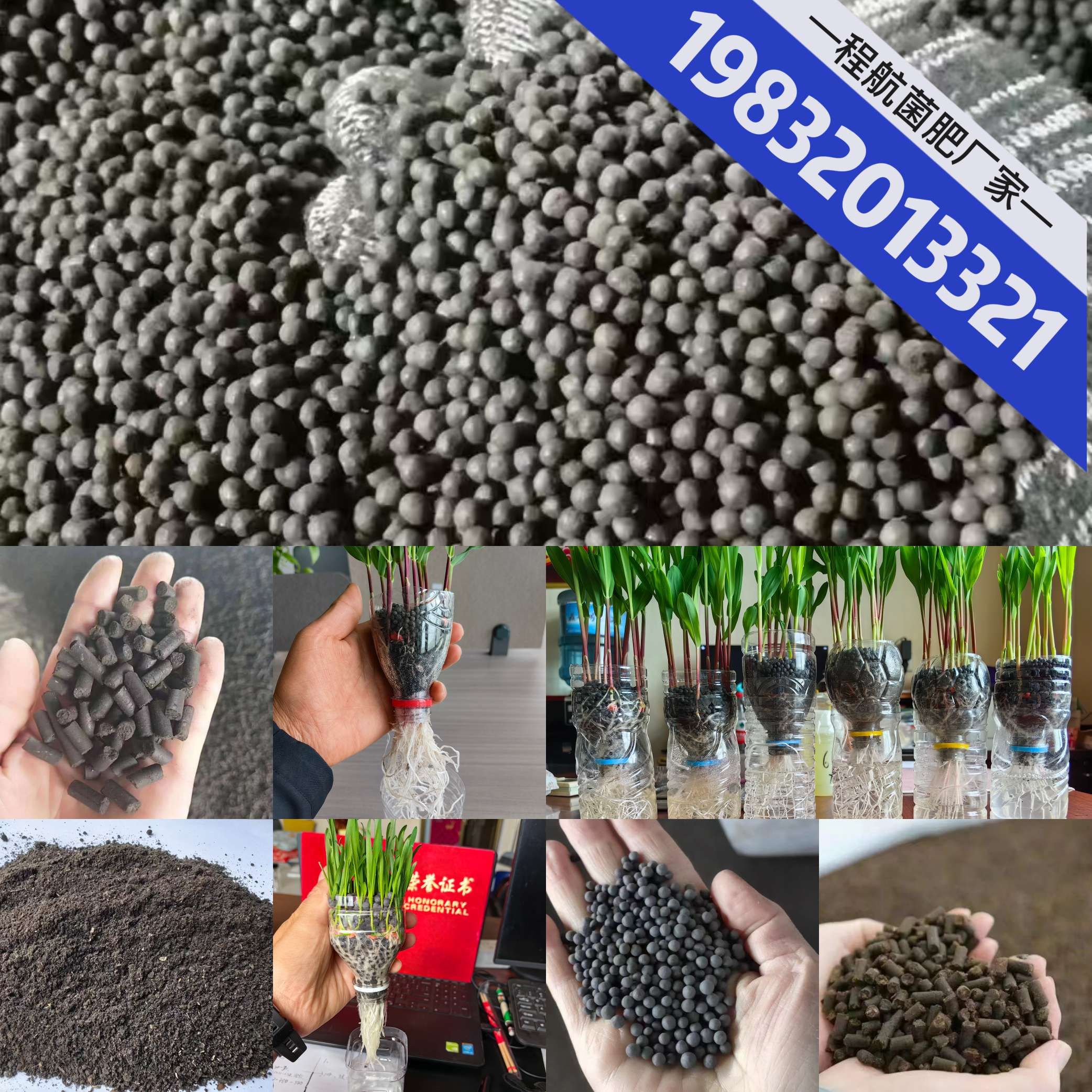 http://st-static1.ag96.cn/forums/2025/06/25/17508210784306.jpeg