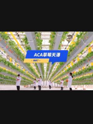 自由升降、追光生长。#ACA草莓天瀑，美爆了！向天再借500平！#ACA可控农业 #华维集团 #数字农业