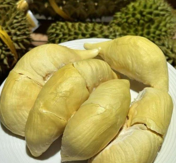泰国甲仑榴莲
浓香满口，丝滑如奶油
甜甜糯糯，榴莲味浓郁
谁让它是泰国榴莲界的元