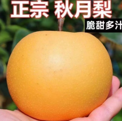 http://st-static1.ag96.cn/forums/2025/07/29/17537865122719.png