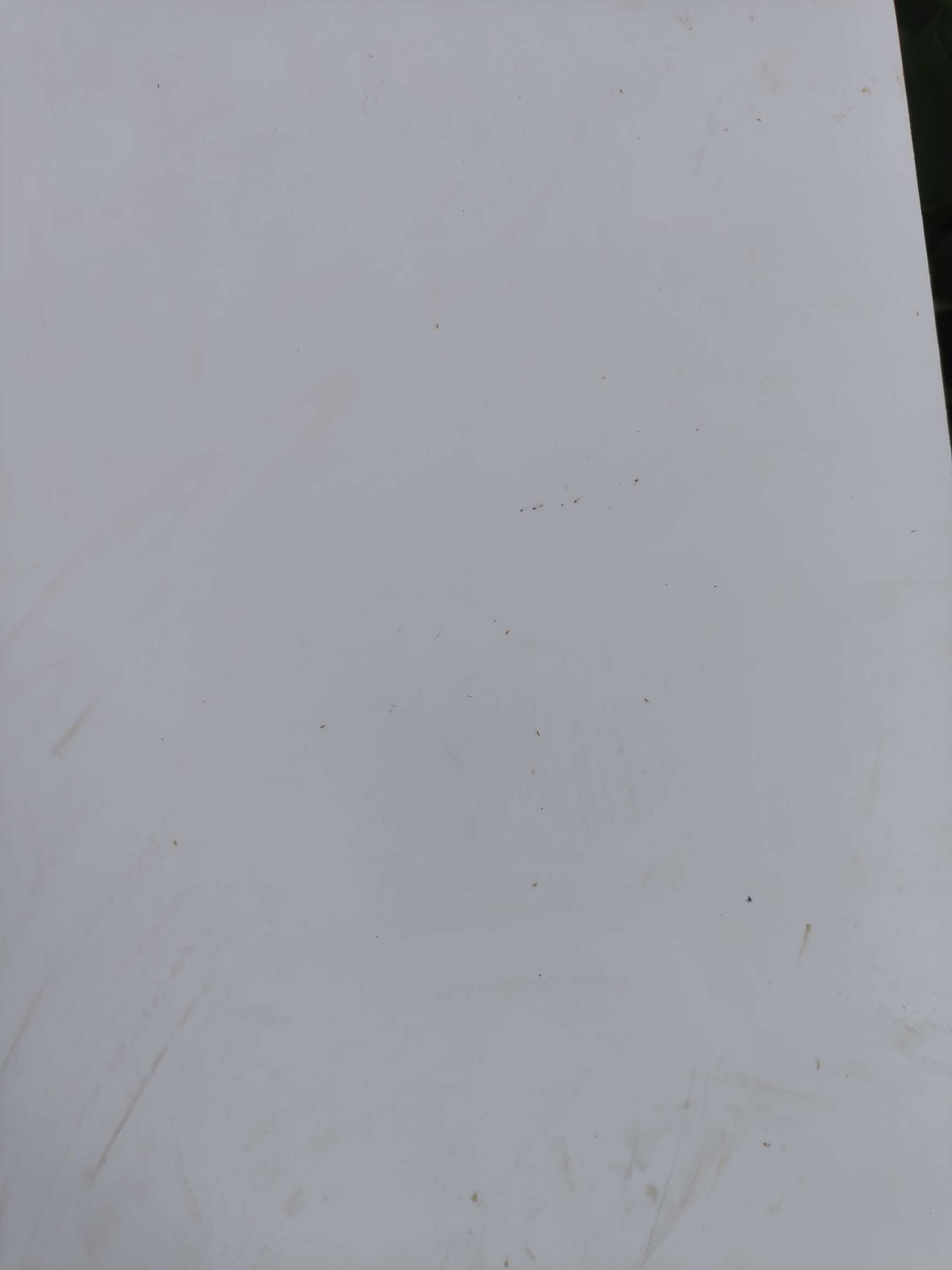 http://st-static1.ag96.cn/forums/2025/08/18/17555288245629.jpeg