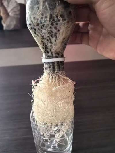 年销售量三十万吨的有机肥生产厂家，全国网点发货，资质齐全，正品保障！有机肥、生物菌肥、微生物肥料等