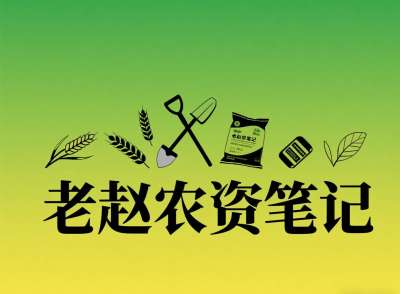 乡镇农资店对接厂家：不是否定代理，是找对&ldquo;有前景的小厂&rdquo;补增量