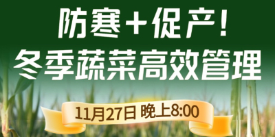 《细说农技》专家张宝林教冬季蔬菜防寒 + 促产高效管理，27 日晚 8 点！