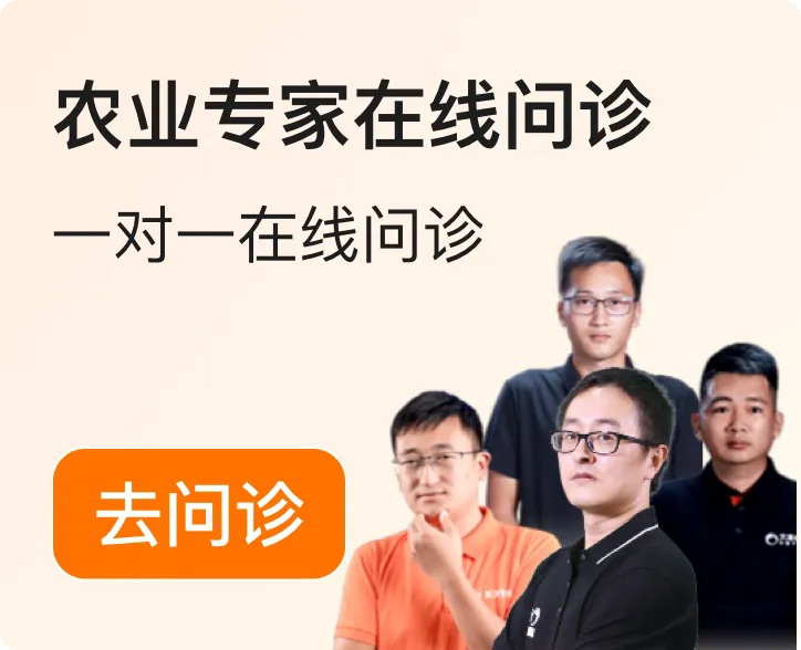 http://st-static1.ag96.cn/forums/2025/12/04/17648348949299.png