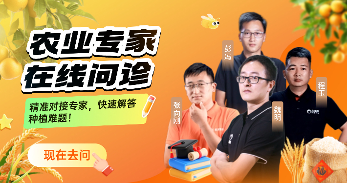http://st-static1.ag96.cn/forums/2025/12/04/17648350671478.png