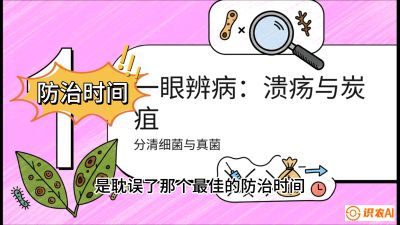第三节：细菌与真菌&mdash;&mdash;溃疡病与炭疽病，课程：《柑橘十大病虫害：从入门到精通》