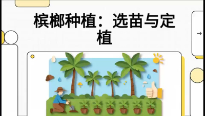 第01节：选苗与定植&mdash;&mdash;&ldquo;苗好一半收，底肥定千秋&rdquo;课程：《槟榔种植：从不懂到精通的10堂必修课》