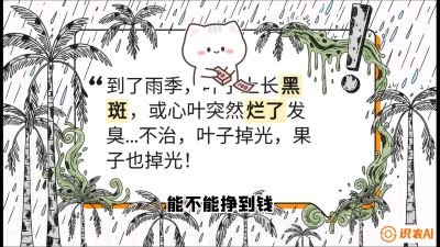 第05节：常见真菌病害&mdash;&mdash;&ldquo;炭疽与烂心，早防值千金&rdquo;《槟榔种植：从不懂到精通的10堂必修课》