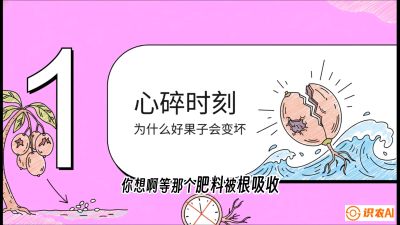 第08节：微量元素与保果&mdash;&mdash;&ldquo;补硼又补钙，果子不裂坏&rdquo;《槟榔种植：从不懂到精通的10堂必修课》