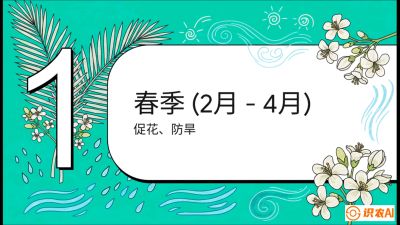 第10节：周年农事日历&mdash;&mdash;&ldquo;跟着节气走，丰产在手头&rdquo;《槟榔种植：从不懂到精通的10堂必修课》