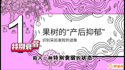 第2节：【冬肥策略】采后&ldquo;月子肥&rdquo;：大小年的精准干预术，课程：《柑橘底肥&ldquo;翻身账&rdquo;：从改土到高产的实战全书》