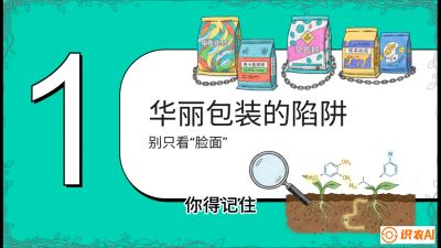 第4节：【黄金配方】底肥里的&ldquo;铁三角&rdquo;与&ldquo;微量雷区&rdquo;课程：《柑橘底肥&ldquo;翻身账&rdquo;：从改土到高产的实战全书》