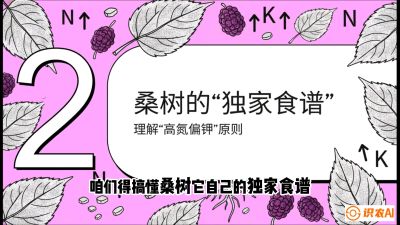 第04节：地下核动力&mdash;&mdash;桑树专用水肥一体化配方，课程：《桑海淘金：桑树高产与蚕桑安全进阶实战课》