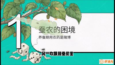 第06节：虫口夺叶（上）&mdash;&mdash;物理与生物防控绝技，课程《桑海淘金：桑树高产与蚕桑安全进阶实战课》
