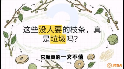 第12节：变废为宝&mdash;&mdash;循环农业实操，课程：《桑海淘金：桑树高产与蚕桑安全进阶实战课》