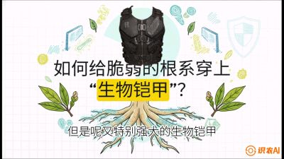 第三节：国产榴莲突围战：根系堡垒，菌根微生态构建与黄金定植窗口，课程：《国产榴莲突围战：从泰国经验到中国实操的8堂必修课（高阶实战版）》