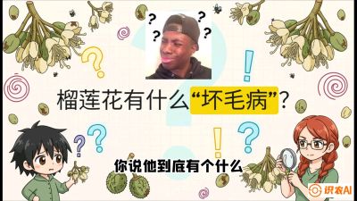 第六节：榴莲的午夜战事，夜间授粉战与花果期避雨策略，课程：《国产榴莲突围战：从泰国经验到中国实操的8堂必修课（高阶实战版）》