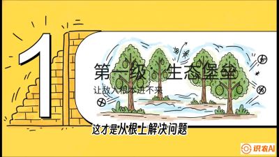 第七节：榴莲防御战：病虫害三级立体防控，疫霉菌与虫害的立体封锁线，课程：《国产榴莲突围战：从泰国经验到中国实操的8堂必修课（高阶实战版）》