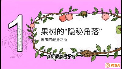 第3节：无人机专治&ldquo;打不透&rdquo;&mdash;&mdash;果树与高杆作物的穿透技巧，课程：《无人机植保搞钱必修课：从&ldquo;瞎飞&rdquo;到&ldquo;懂行&rdquo;的6步进阶》