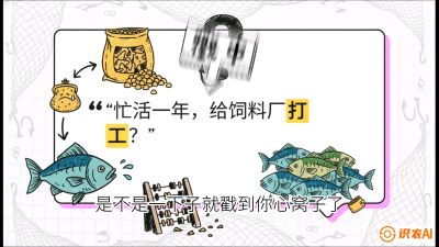 第一节：【选品与规划】如果不养&ldquo;四大家鱼&rdquo;，我们还能养什么？,课程：《黄金鳞甲：2025中国淡水鱼高效养殖实战营》