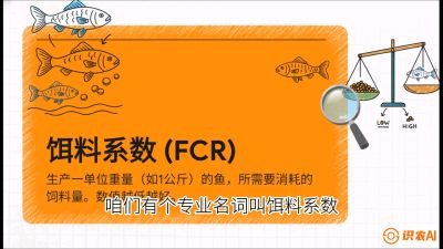 第五节：【高端单品&middot;鳜鱼】&ldquo;饲料鳜&rdquo;技术：打破吃活饵的高成本魔咒，课程：《黄金鳞甲：2025中国淡水鱼高效养殖实战营》