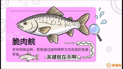 第六节：【老品升级&middot;脆肉鲩】如何让草鱼身价翻倍？，课程：《黄金鳞甲：2025中国淡水鱼高效养殖实战营》