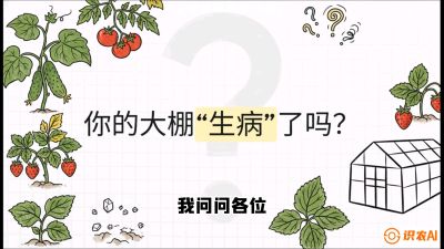 第2节（解毒篇）： 大棚里的&ldquo;红白绿&rdquo;警报&mdash;&mdash;读懂土壤盐渍化的求救信号，课程：《揭秘土壤的秘密：让土地帮你赚钱》#识农AI