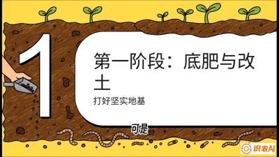 第6节（统筹篇）： 省钱又增产的&ldquo;黄金配比&rdquo;&mdash;&mdash;不同作物全年的养土实操方案，课程：《揭秘土壤的秘密：让土地帮你赚钱》#识农AI