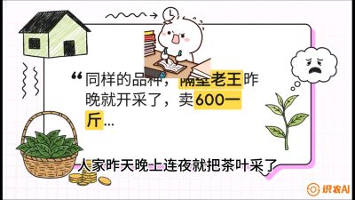 第01节（抢早篇）：与老天爷抢饭吃：如何利用&ldquo;温差阈值&rdquo;让头采茶提前5天上市？，课程：《茶金时代：从&ldquo;看天吃饭&rdquo;到&ldquo;精准控局&rdquo;的茶叶高产提质实战课》