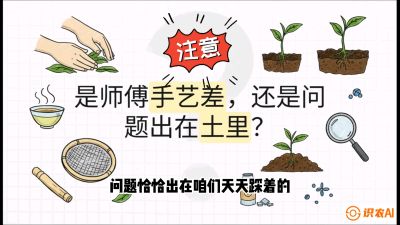 第02节（土肥篇）：告别&ldquo;苦涩水味&rdquo;：揭秘&ldquo;碳氮比&rdquo;调控术，种出自带兰花香的好茶底，课程：《茶金时代：从&ldquo;看天吃饭&rdquo;到&ldquo;精准控局&rdquo;的茶叶高产提质实战课》