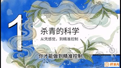 第05节（加工篇）：决胜2分钟：用&ldquo;数字温控&rdquo;破解杀青不匀，复刻大师级手工口感，课程：《茶金时代：从&ldquo;看天吃饭&rdquo;到&ldquo;精准控局&rdquo;的茶叶高产提质实战课》