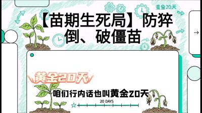 第2节：【苗期生死局】防猝倒、破僵苗，决定后期产量的&ldquo;黄金20天&rdquo;，课程：《辣椒种植实战特训营，从工业辣椒到精品小米辣，教你如何把&ldquo;草&rdquo;种成&ldquo;金&rdquo;》