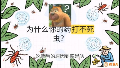 第4节：【虫害歼灭战】打不死的蓟马、隐形的茶黄螨：抗性时代的&ldquo;混配绝杀&rdquo;，课程：《辣椒种植实战特训营，从工业辣椒到精品小米辣，教你如何把&ldquo;草&rdquo;种成&ldquo;金&rdquo;》