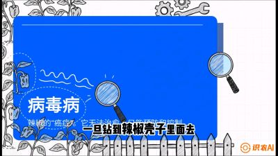 第5节：【病毒病阻击】辣椒的&ldquo;癌症&rdquo;怎么治？从&ldquo;绝收恐慌&rdquo;到&ldquo;带毒生产&rdquo;的逆转术，课程：《辣椒种植实战特训营，从工业辣椒到精品小米辣，教你如何把&ldquo;草&rdquo;种成&ldquo;金&rdquo;》