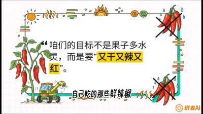 第7节：【工业辣椒专场】追求极致辣度！干物质提升与机械化采收的&ldquo;催红秘籍&rdquo;，课程：《辣椒种植实战特训营，从工业辣椒到精品小米辣，教你如何把&ldquo;草&rdquo;种成&ldquo;金&rdquo;》