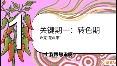 第8节：【小米辣线椒专场】颜值即正义！防花皮、防炭疽，打造收购商抢着要的&ldquo;精品果&rdquo;，课程：《辣椒种植实战特训营，从工业辣椒到精品小米辣，教你如何把&ldquo;草&rdquo;种成&ldquo;金&rdquo;》