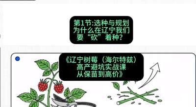 第一节： 选种与规划&mdash;&mdash;为什么在辽宁我们要&ldquo;砍&rdquo;着种？，课程：《辽宁树莓（海尔特兹）高产避坑实战课：从保苗到高价》
