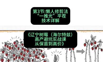 第三节： 懒人修剪法&mdash;&mdash;&ldquo;一推光&rdquo;平茬技术详解，课程：《辽宁树莓（海尔特兹）高产避坑实战课：从保苗到高价》