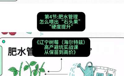第四节： 肥水管理&mdash;&mdash;怎么喂出&ldquo;石头果&rdquo;（硬度提升），课程：《辽宁树莓（海尔特兹）高产避坑实战课：从保苗到高价》