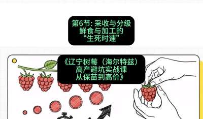 第六节： 采收与分级&mdash;&mdash;鲜食与加工的&ldquo;生死时速&rdquo;，课程：《辽宁树莓（海尔特兹）高产避坑实战课：从保苗到高价》
