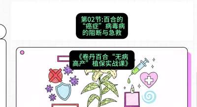 第02节：百合的&ldquo;癌症&rdquo;&mdash;&mdash;病毒病的阻断与急救，课程：《卷丹百合&ldquo;无病高产&rdquo;植保实战课》#识农AI