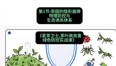 第01节：茶园的&ldquo;隐形盾牌&rdquo;&mdash;&mdash;物理防控与生态诱杀体系，课程：《茗茶卫士&mdash;&mdash;茶叶病虫害绿色防控实战课》#识农AI