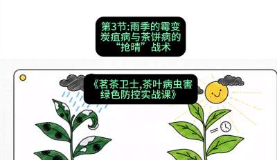 第03节：雨季的霉变&mdash;&mdash;炭疽病与茶饼病的&ldquo;抢晴&rdquo;战术，课程：《茗茶卫士&mdash;&mdash;茶叶病虫害绿色防控实战课》#识农AI