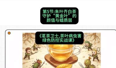 第05节：朱叶齐白茶&mdash;&mdash;守护&ldquo;黄金叶&rdquo;的颜值与蜡质层（重点），课程：《茗茶卫士&mdash;&mdash;茶叶病虫害绿色防控实战课》#识农AI